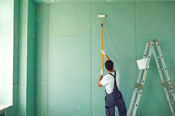 Best Dehumidification Services  in Charlotte, MI