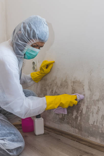 Best Forensic Mold Investigation  in Charlotte, MI