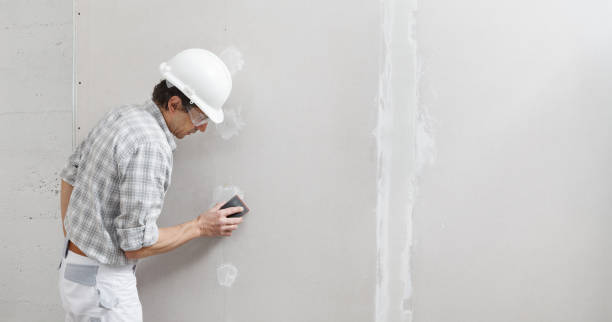 Best Post-Construction Mold Inspection  in Charlotte, MI