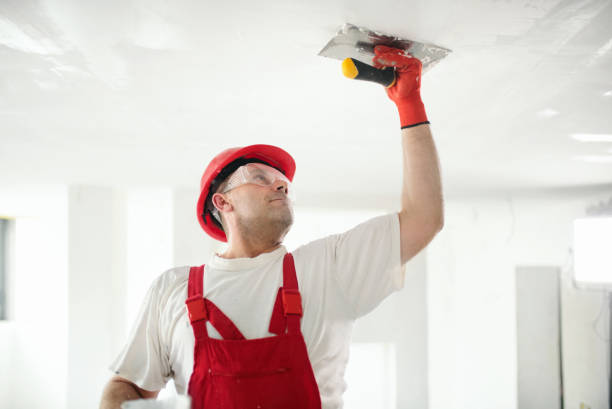Best Post-Remediation Verification Testing  in Charlotte, MI