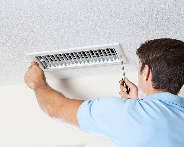 Best Biohazard Mold Removal  in Charlotte, MI