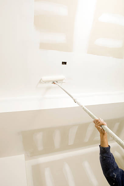 Best Black Mold Removal  in Charlotte, MI