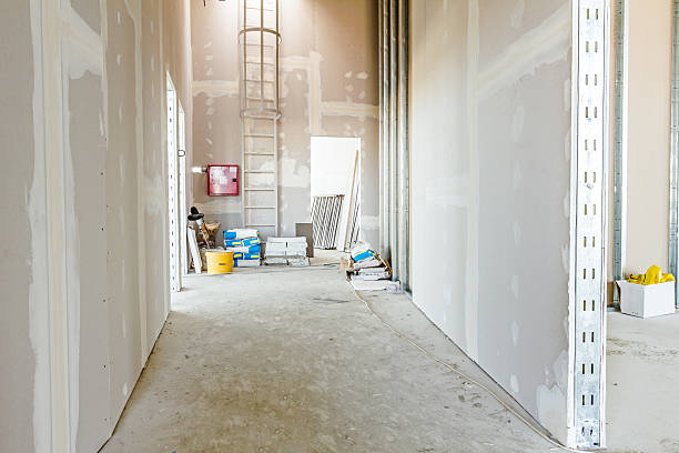 Best Residential Mold Inspection & Testing  in Charlotte, MI