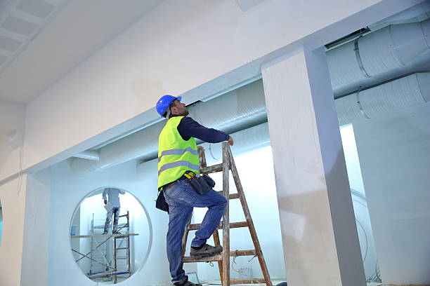 Best Attic Mold Removal  in Charlotte, MI