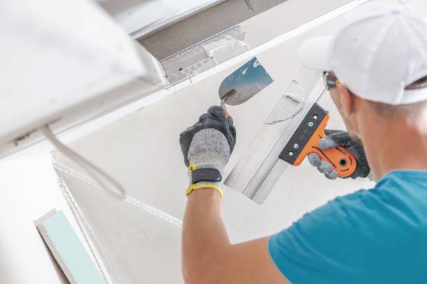 Best Environmental Consulting for Mold Prevention  in Charlotte, MI